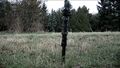 Thumbnail for version as of 16:19, 24 December 2023